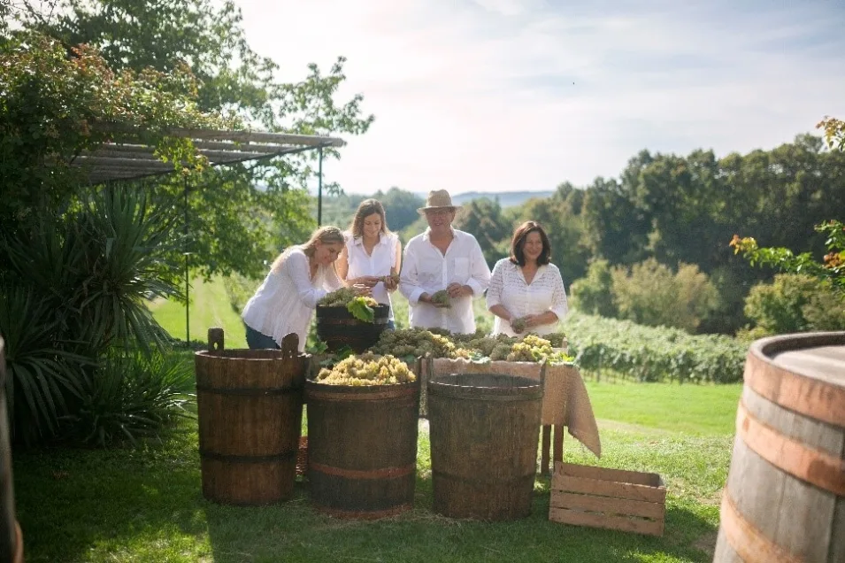 Die Familie Malgaj bei der Weinlese
