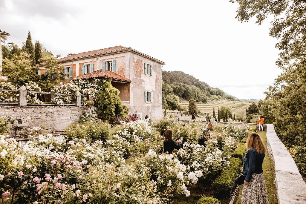 Villa Fabiani rose gardens and vineyards
