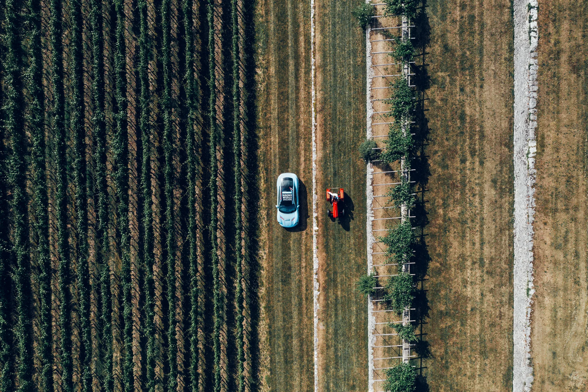 Anwesen Villa Fabiani