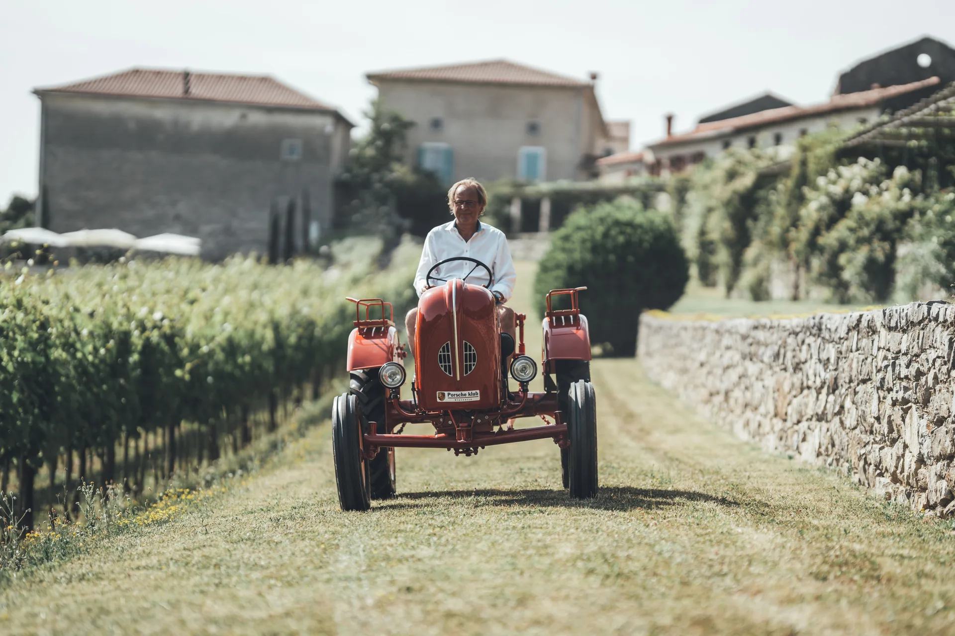 Weinberge der Villa Fabiani